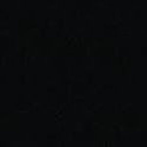 Meet your Posher, Ella